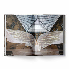 Radical Acts of Unrelenting Beauty: At the Musée du Louvre
